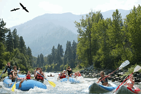 Group of duckies floating Wenatchee River